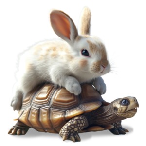 Slow Turtle | 3D Animated Clipart for PowerPoint - PresenterMedia.com