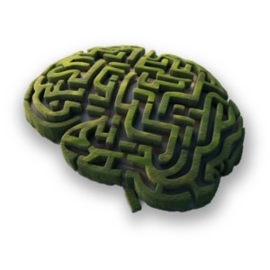 Labyrinth Maze Brain clipart: This depicts intricate neural pathways, adding depth to presentations and designs