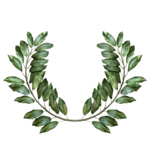 A Laurel Leaf Ring clipart - Transparent PNG Clipart