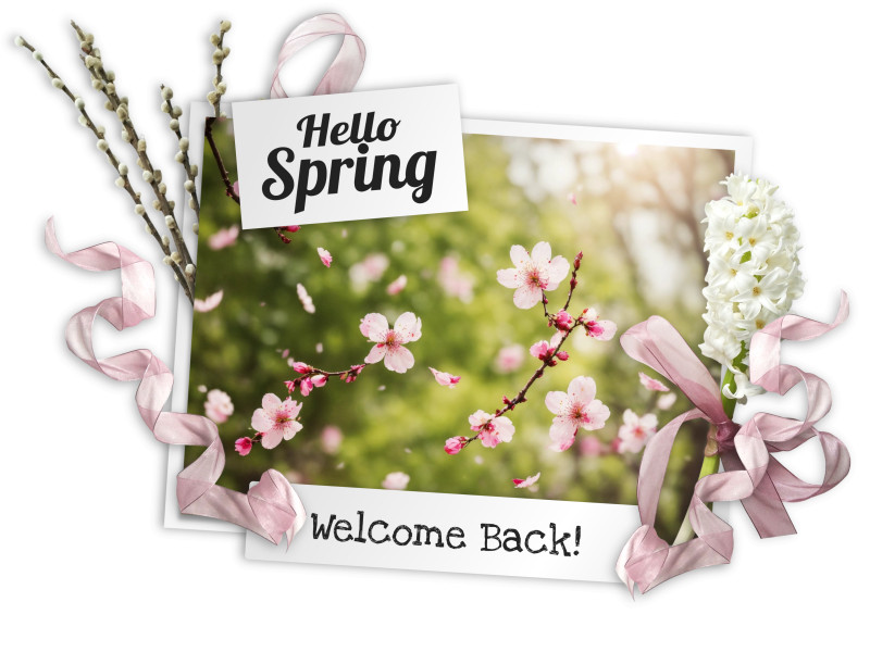 This Presentation Clipart shows a preview of Hello Spring Clipart Design