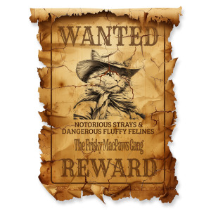Enhancing your slides with this fun vintage customizable design of an old west Wanted Poster. Change the text and images to fit your topic.