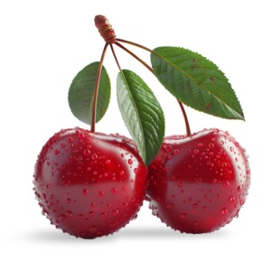A pair of vibrant red fresh cherries isolated on a transparent background, glisten with drops of water.