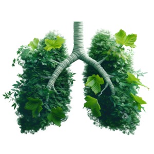 Download and add this clipart image to presentation / media designs to visualize natures role in supporting life on earth.