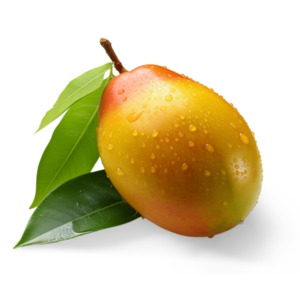 A delicious fresh ripe mango isolated against a transparent background, a PNG Image.