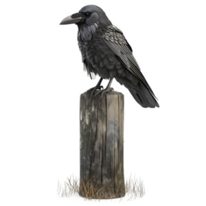 Download this raven on a post clipart image for a visual representation of watchfulness and wisdom in presentation design.