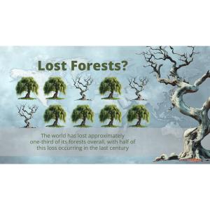 Download or customize this pictograph showing global deforestation with trees transitioning from healthy to barren, emphasizing forest loss.