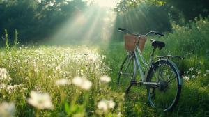 A vintage bicycle in a sunlit meadow filled with wildflowers and soft rays of sunlight. 

