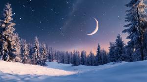 A tranquil winter landscape with a crescent moon and starry sky over snow-covered trees.

