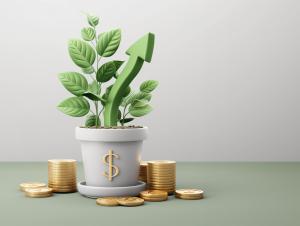 This image illustrates financial growth with a plant in a dollar-sign pot and golden coins. 

