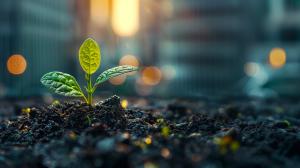 This image shows a green sprout growing from dark soil, set against a blurred urban background with warm lights. 

