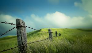 A tranquil landscape with a rustic fence and lush green grass under a blue sky.

