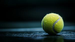 A close-up of a wet yellow tennis ball on a dark surface, highlighting its texture and moisture.

