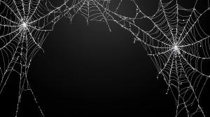 A dark background featuring intricate white spider webs with water droplets, ideal for mysterious themes. 

