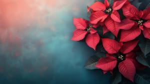 A vibrant cluster of red poinsettia leaves against a teal and coral background.