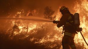 A firefighter battles a wildfire with a hose amidst intense flames and smoke.

