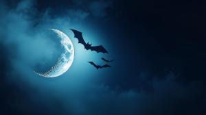A luminous moon with bats flying in a dark night sky.