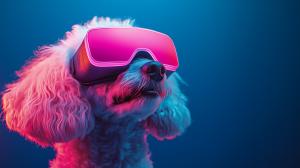 This image features a dog wearing VR goggles, humorously showcasing virtual reality in a colorful setting.

