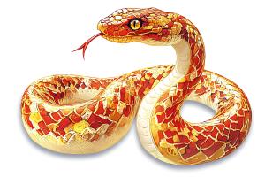 A vibrant red and gold snake coiled elegantly, representing themes of nature and mythology.