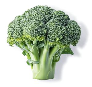Fresh broccoli floret with vibrant green color and sturdy stalk.