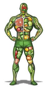 Download this vibrant illustration of a human figure filled with fruits and vegetables, symbolizing health and nutrition.