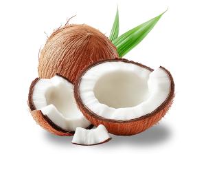 Download this clipart image of cut coconuts showcasing their white flesh and textured brown shells.