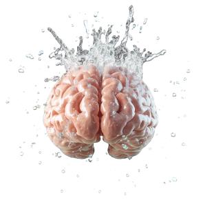 This image depicts a brain surrounded by splashes of water, symbolizing brainwashing and transformation.