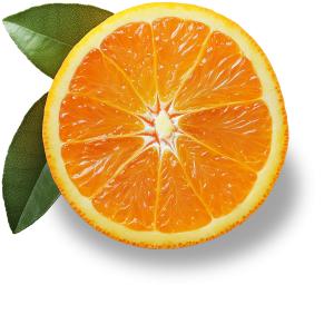 This image shows a half orange with vibrant flesh and green leaves on a white background.

