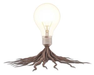 This image symbolizes the connection between ideas, innovation, and growth through a glowing light bulb and roots.