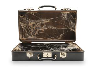 Use this briefcase with cobwebs clipart in PowerPoint to symbolize career neglect, missed opportunities, and professional transformation.
