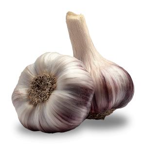 This image shows two garlic bulbs with textured skins and purple accents, emphasizing their culinary significance.
