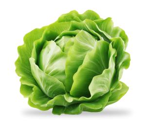 Download this fresh head of lettuce presentation clipart to enhance your healthy eating slides.