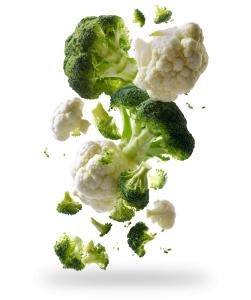 Download this fresh broccoli and cauliflower florets illustration. Perfect for health, nutrition, cooking, vegetables, and healthy lifestyle presentations.