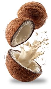 Download this dynamic presentation clipart of bursting coconuts to bring a tropical vibe to your slides.