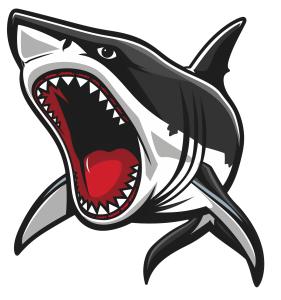 Download fierce shark mascot clipart symbolizing strength, competition, and power. Perfect for sports teams, school mascots, or marine-themed presentations.