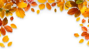 Download fall leaves border PNG clipart featuring warm autumn colors. Perfect for seasonal presentations, invitations, and educational slides.
