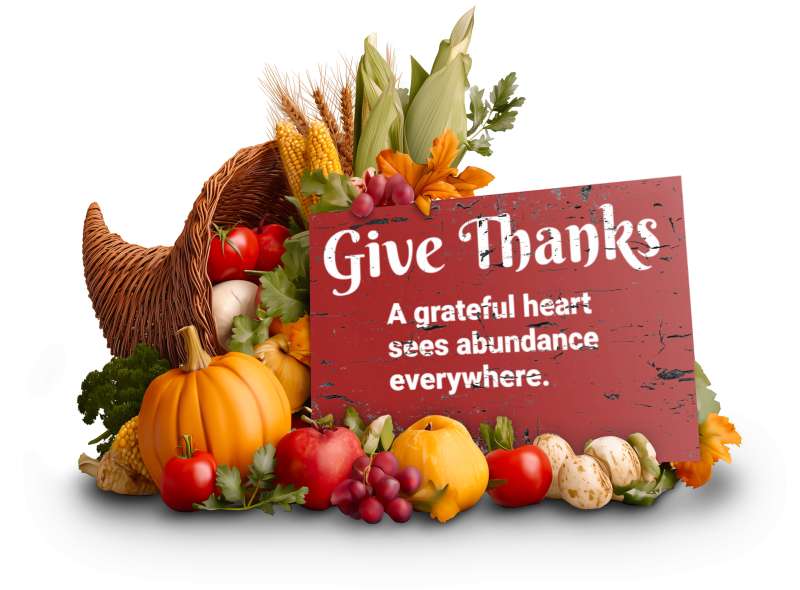 This Presentation Clipart shows a preview of Customizable Cornucopia Clipart PNG