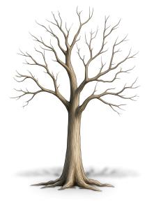 Enhance your seasonal presentations with this winter tree clipart. Perfect for representing waiting, transition, and patience.