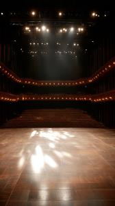  
This elegant background features an empty stage floor illuminated by dramatic lighting, perfect for creative presentations.


