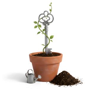 Download this Presentation Clipart illustrating unlocking growth with a key and plant.