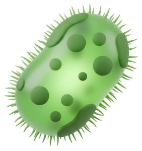 Download this Presentation Clipart featuring a vibrant illustration of bacteria for health-related topics.