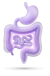 Download this Presentation Clipart illustrating gut health and digestion for engaging health-related presentations.