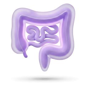 Download this Presentation Clipart to illustrate gut health and digestion topics effectively.