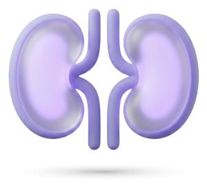 Download this Presentation Clipart to highlight kidney health in your visuals.