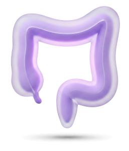 Download this Presentation Clipart to enhance your visuals on gut health and digestion.