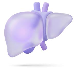 Download this Presentation Clipart to illustrate liver health and wellness in your medical or educational presentations.