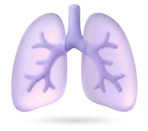 Download this Presentation Clipart to illustrate lung health and anatomy in your educational materials.