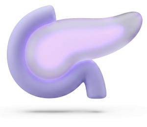 Download this Presentation Clipart to illustrate pancreas health and its functions effectively.