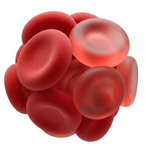 Download this Presentation Clipart featuring a group of red blood cells, perfect for health and biology topics.