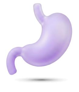 Download this Presentation Clipart to illustrate stomach health and digestive processes in your presentations.