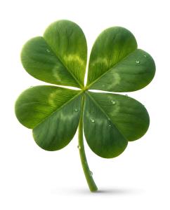 Download this Presentation Clipart featuring a four leaf clover symbolizing luck and St. Patrick's Day.
